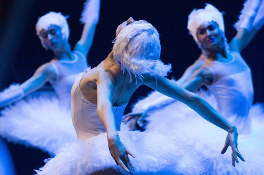 Swan Lake on Water – City Lights Entertainment